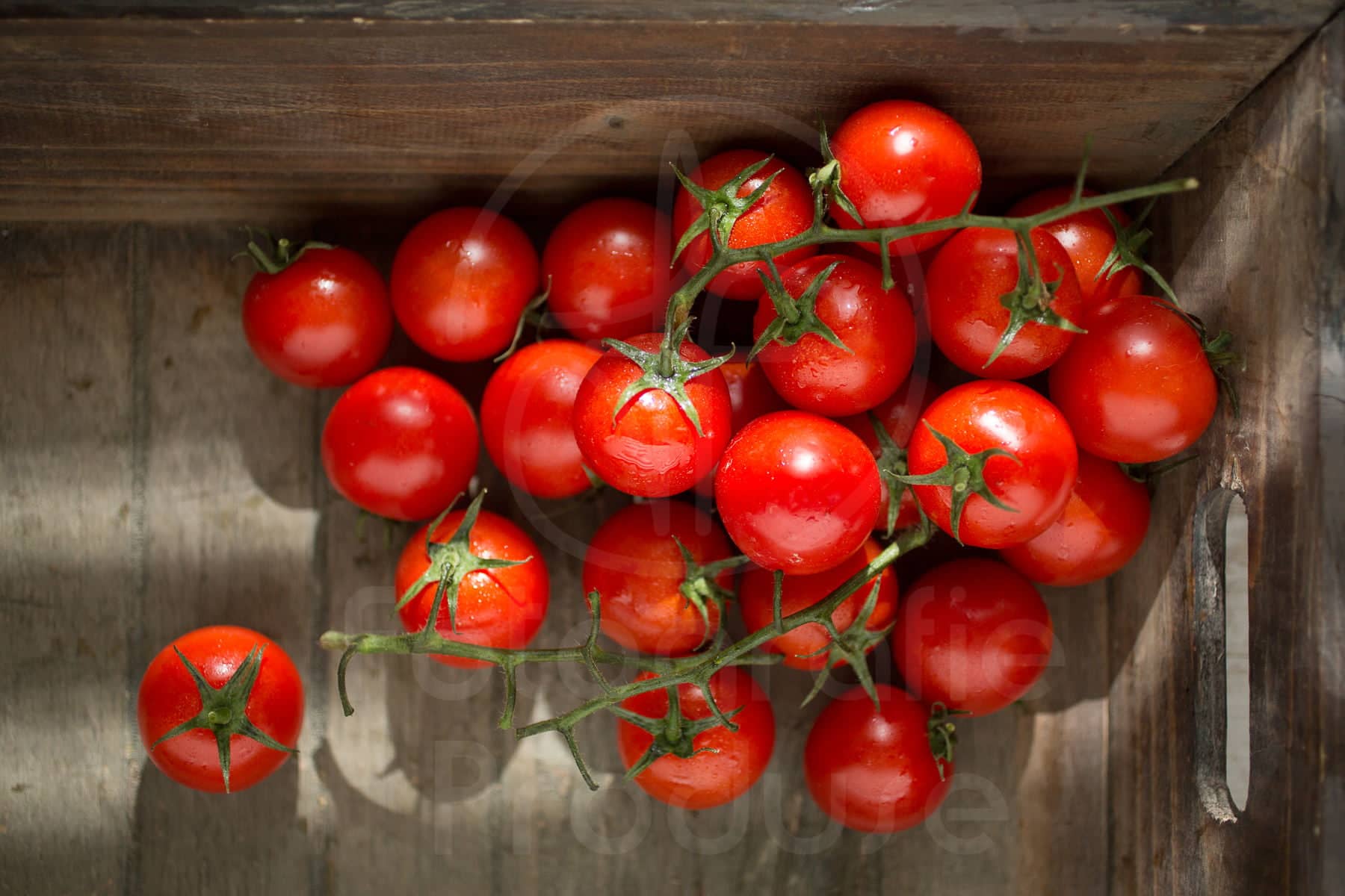 fotografie culinara